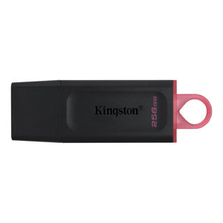Slika Kingston FD 256GB USB3.2 DTX