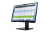 Slika HP Monitor P22 G4 FHD IPS