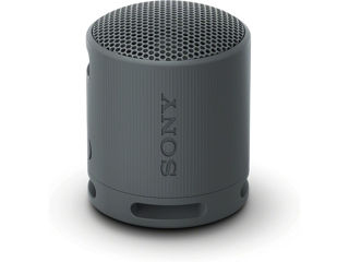 Slika Sony BT zvučnik XB100 - crni