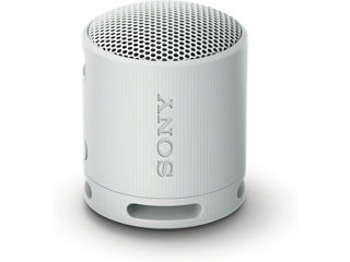 Slika Sony BT zvučnik XB100svijetlosiva